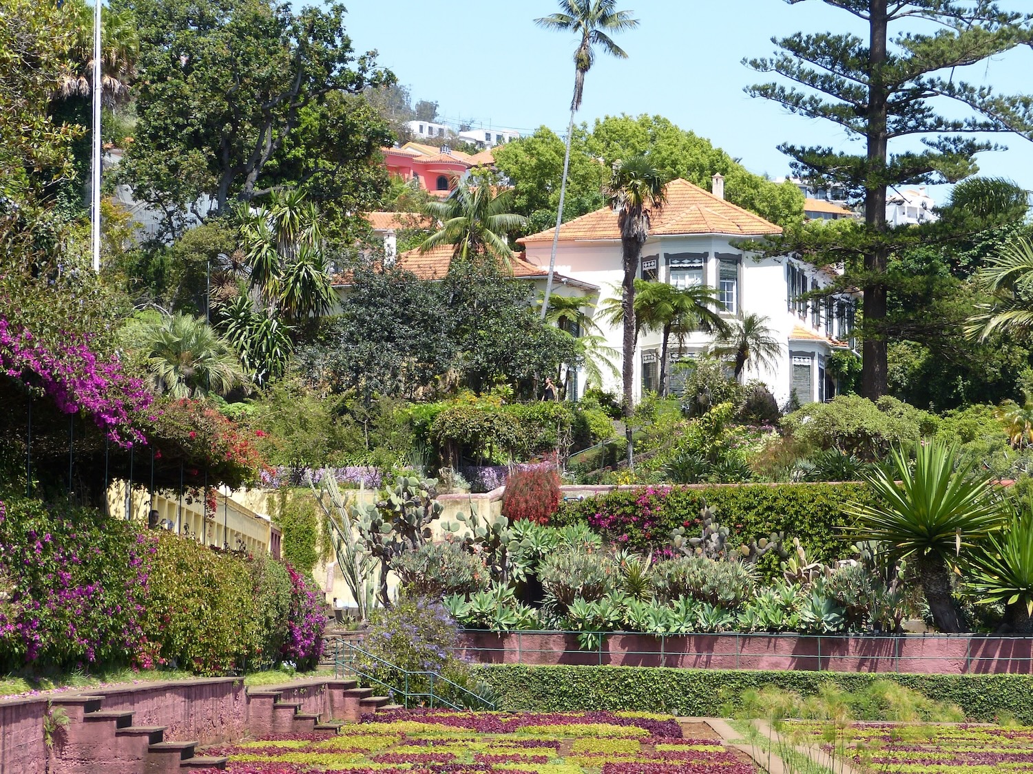 Im Botanischen Garten